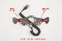 PADDLE (dismounted).webp